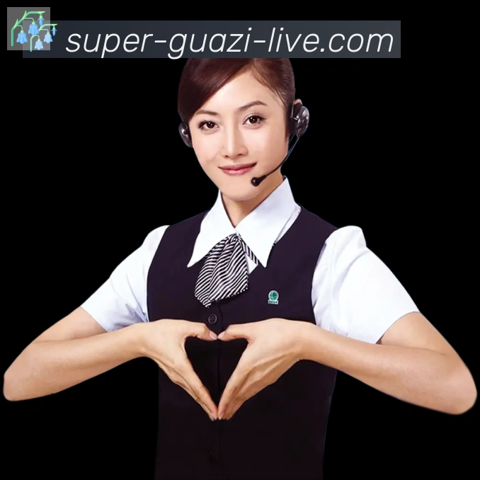 瓜子直播荣誉